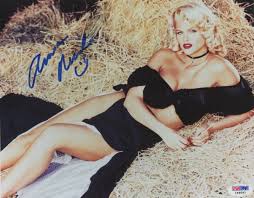 1993 gab es zahlreiche unfälle und diebstähle in deutschland, schuld war anna nicole smith. Anna Nicole Smith American Blonde Bombshell With A Tragic Life Vintage Everyday