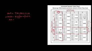 Universal Genetic Code Chart Answers However Is