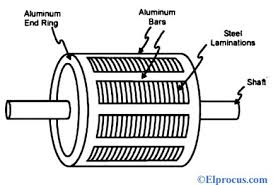 squirrel cage induction motor