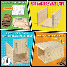 There are plenty of open and unused holes in my bee house, so i i have not cleaned any of the used holes. Qzlz5orug5xmhm