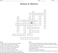 One has got to study just about anything and. Mitosis Meiosis Crossword Wordmint