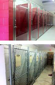 Why Glass Kennel Doors Direct Animal