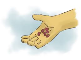 How To Grow Kidney Beans 14 Steps With Pictures Wikihow