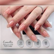 camellia nails spa