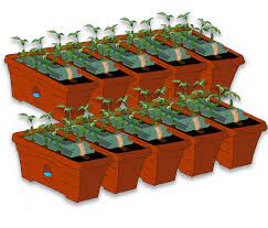 10 growbox bundle garden patch