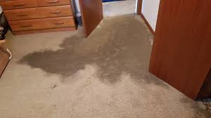 cleaning water damaged carpet