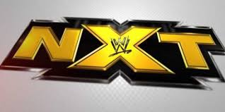 WWE NXT Images?q=tbn:ANd9GcQWXlSRTvo9vnLfgByH9vlmsIMBLc57NILvxQzbLvzytMvU26kbEg