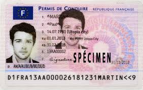 french driving licence how to