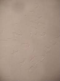 Hand Troweled Walls Drywall Texture