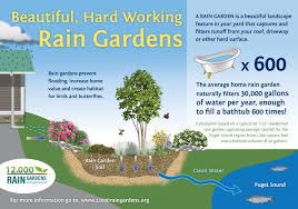 Benefits Of Rain Gardens 12 000 Rain