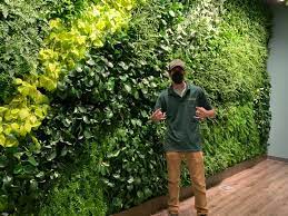 Living Walls Aren T Built In A Day