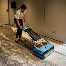 professional carpet cleaning singapore