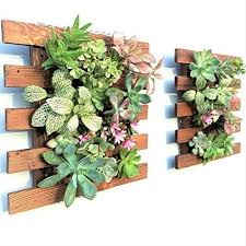 Wooden Hanging Succulent Wall Decor