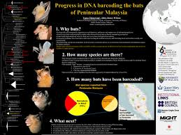 Newton's third law. the physics classroom. Pdf Progress In Dna Barcoding The Bats Of Peninsular Malaysia