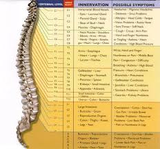 The Different Levels Of Spinal Cord Injuries Spinal Cord