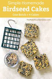 make your own homemade birdseed cakes