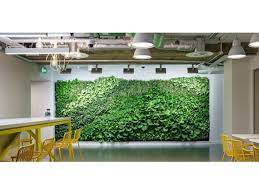 Living Plant Walls Winya