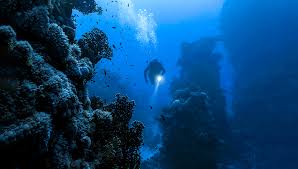 what s underneath the ocean floor