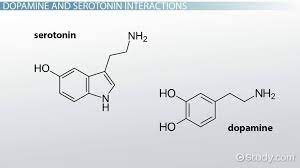 dopamine vs serotonin chemical