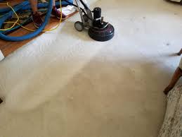 carpet cleaner companies terry s