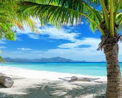Free download tropical beach hd ...