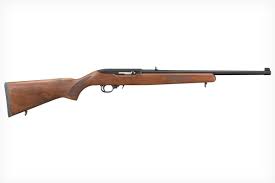 best ruger 10 22 s for hunting