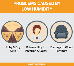 What Causes Low Humidity In A House Humiditycheck Com