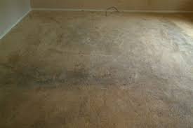 carpet cleaning kingwood free estimate