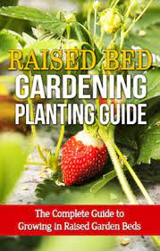 raised bed gardening planting guide 電