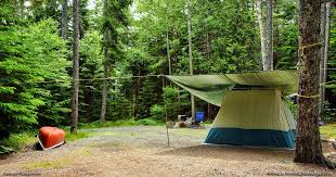 Seawall Campground Acadia National