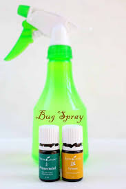 Sprinkle diatomaceous earth around your yard to repel chiggers. Homemade Bug Spray Recipe Made With All Natural Ingredients