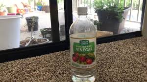 vinegar hacks remove duct tape