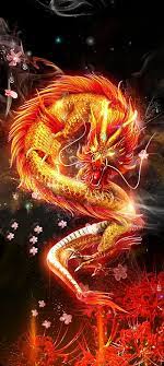 dragon ideas dragon dragon art