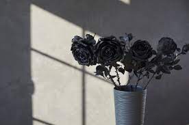 black roses meaning symbolism bouqs