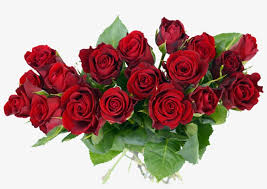 rose flower bouquet png