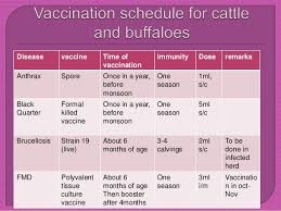 Vaccination Schedule Of Animals And Poultry