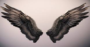 majestic black angel wings