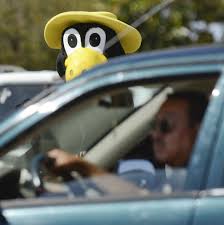 One can make a fiesta auto insurance claim, view their policy information, pay. Max The Bird Entertains For Business Fun Lompoc Lompocrecord Com