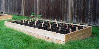 Companion Planting In Raised Beds