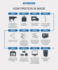 How Is Whey Protein Made Infographic