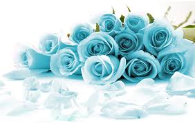 you must know detail blue roses meaning