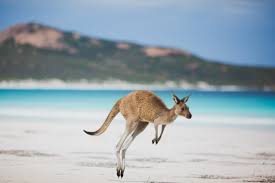 Visit Australia - Travel & Tour Information - Tourism Australia