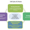 The Cycle of Nursing Theory