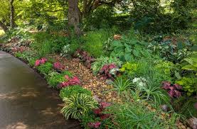 Top 20 Rain Garden Plants Garden Design
