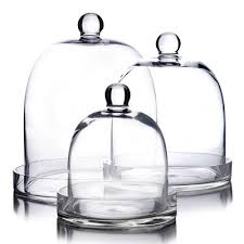 Glass Cloches Dome With Glass Tray