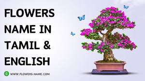 flowers name com