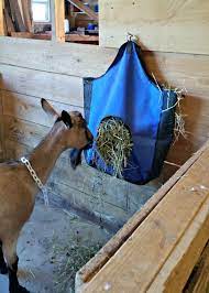 hay feeder options for goats simple