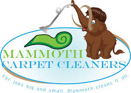 top 10 best carpet cleaning in fountain