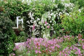 Plants For A Traditional Cottage Garden