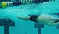 Swimmer sacrifices olympics dream in stand against myanmar's junta | kieran pender. Best Freestyle Swimming Gifs Gfycat